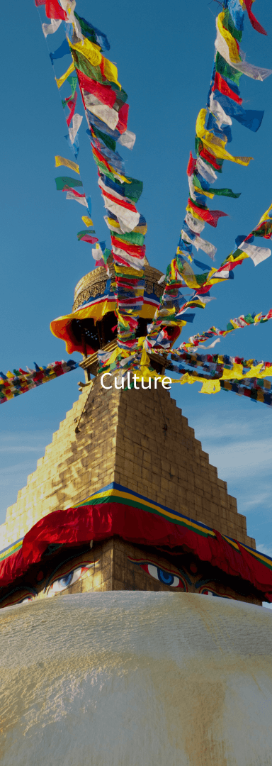 Culture