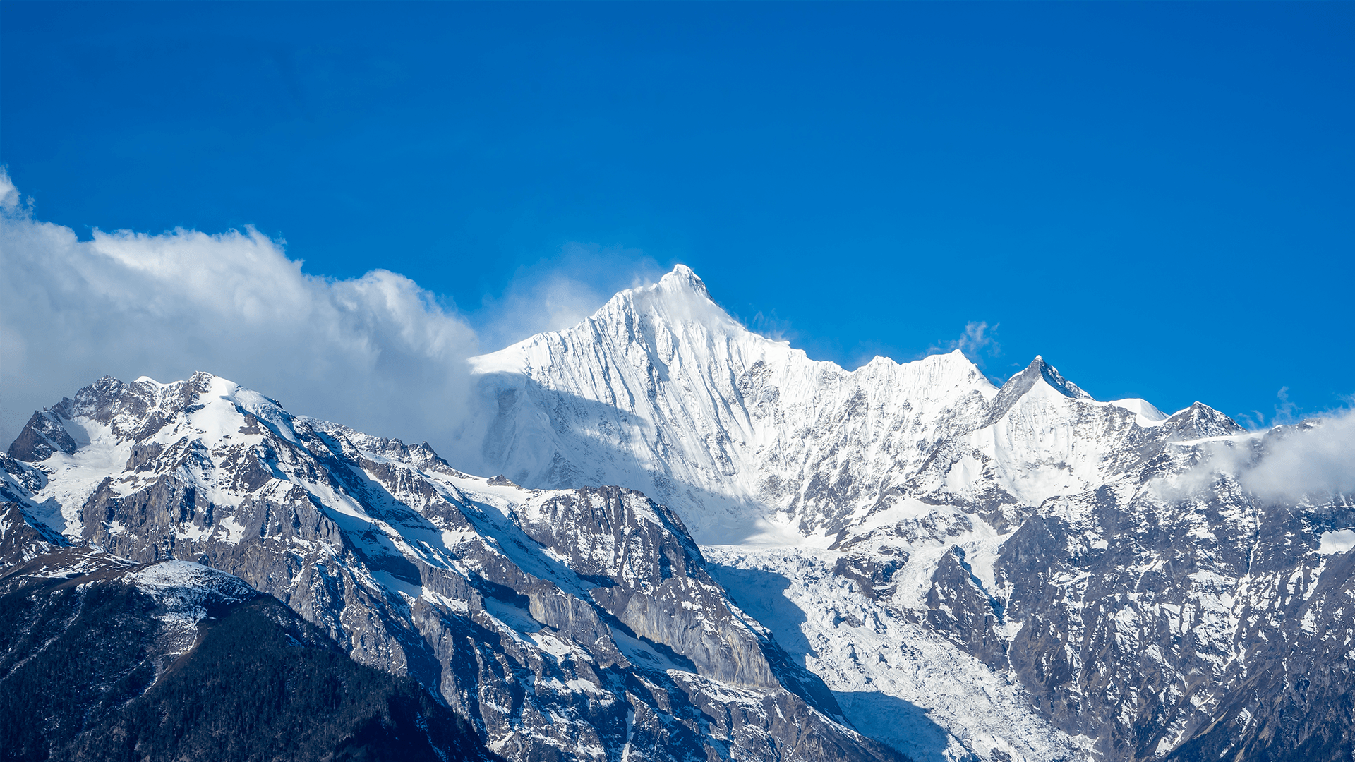To advance Tibetan healing and wellness for humanity.