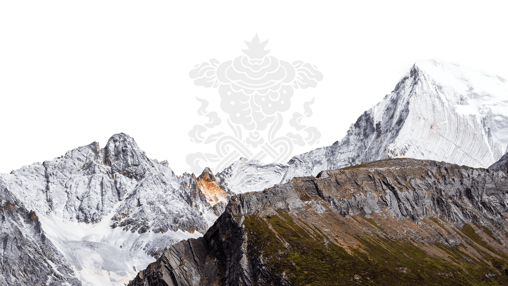 Tibetan Medicine with a History of 3,800 Years