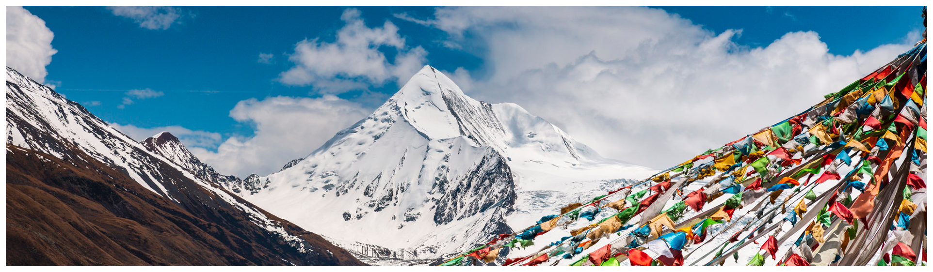 Tibetan medicine