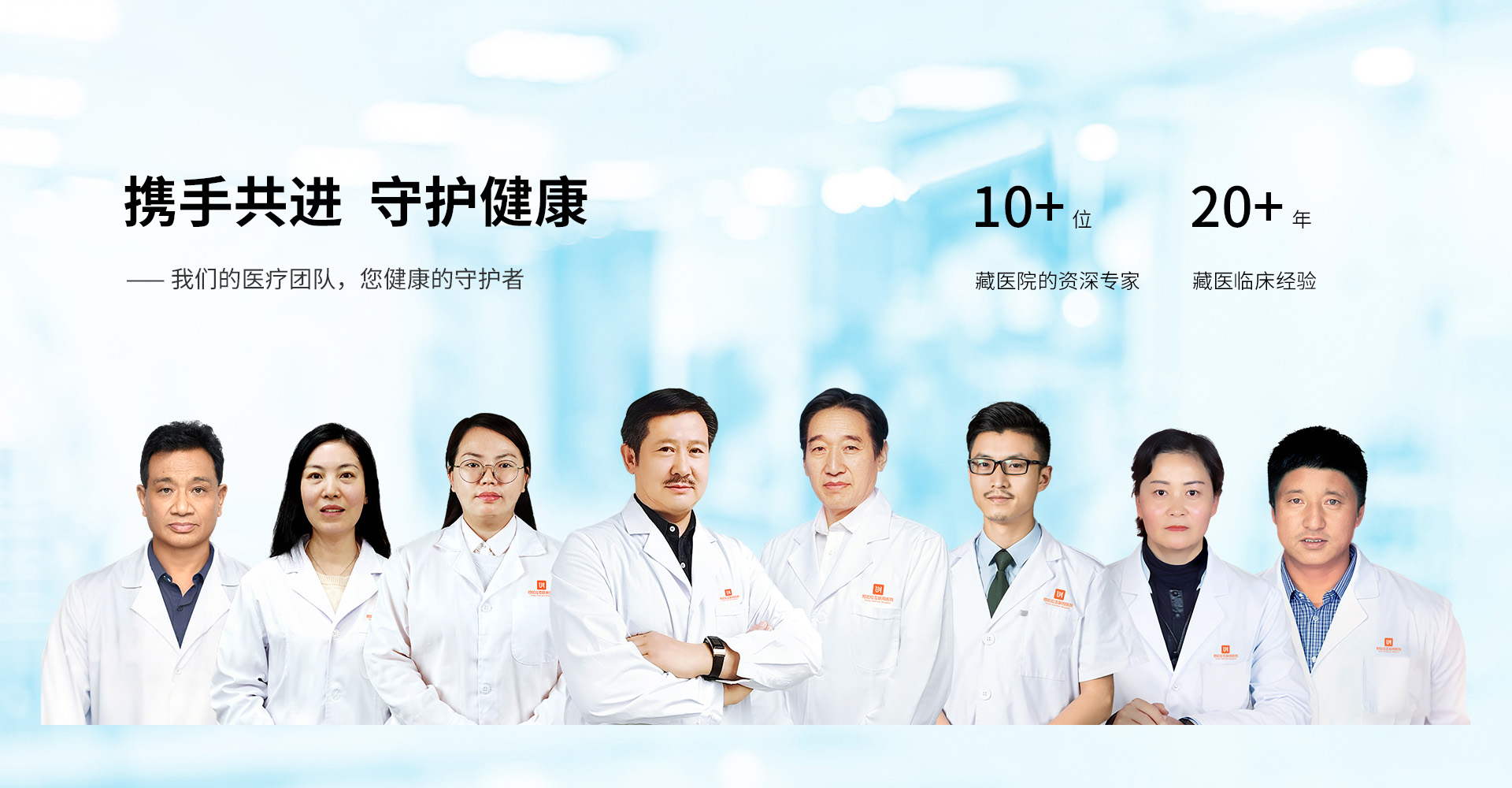 专家团队